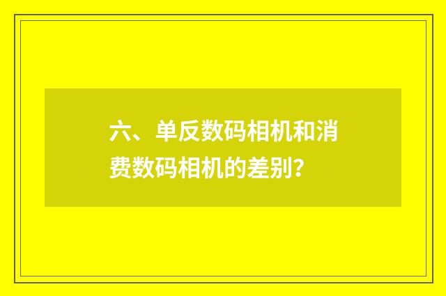 六、单反数码相机和消费数码相机的差别？