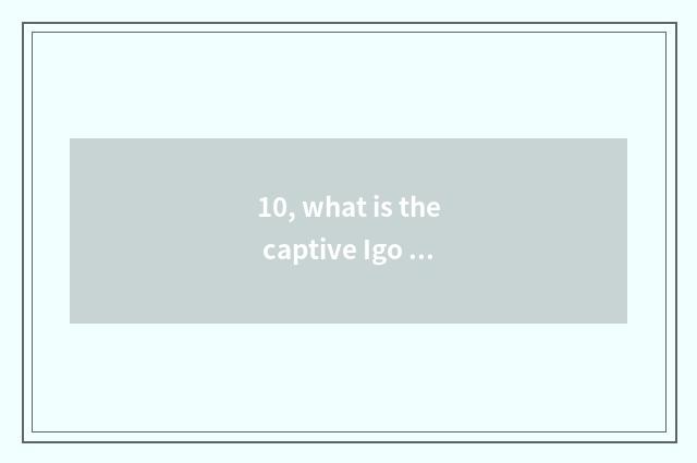 10, what is the captive Igo of cate?