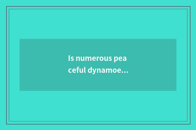 Is numerous peaceful dynamoelectric car demist mark?