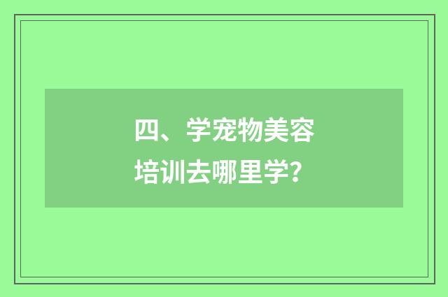 四、学宠物美容培训去哪里学？