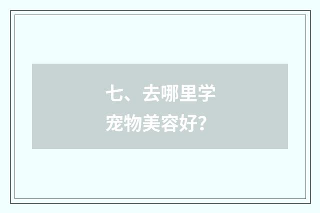 七、去哪里学宠物美容好？