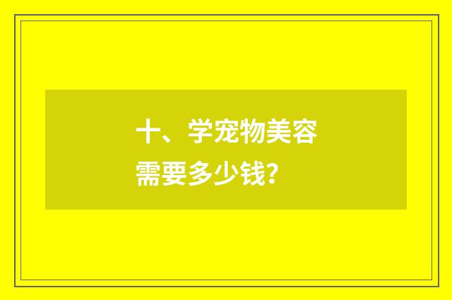 十、学宠物美容需要多少钱？