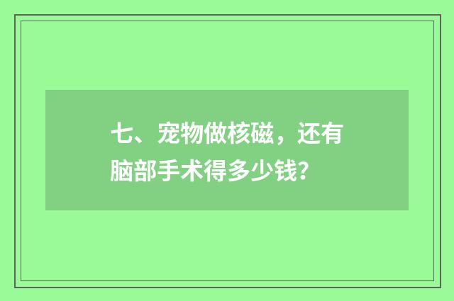 七、宠物做核磁，还有脑部手术得多少钱？