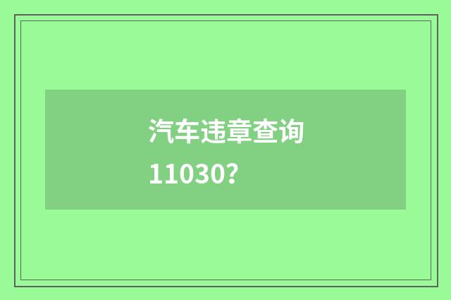 汽车违章查询11030?