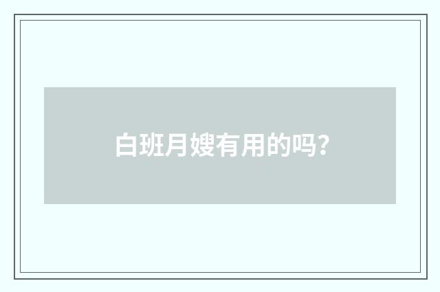 白班月嫂有用的吗?