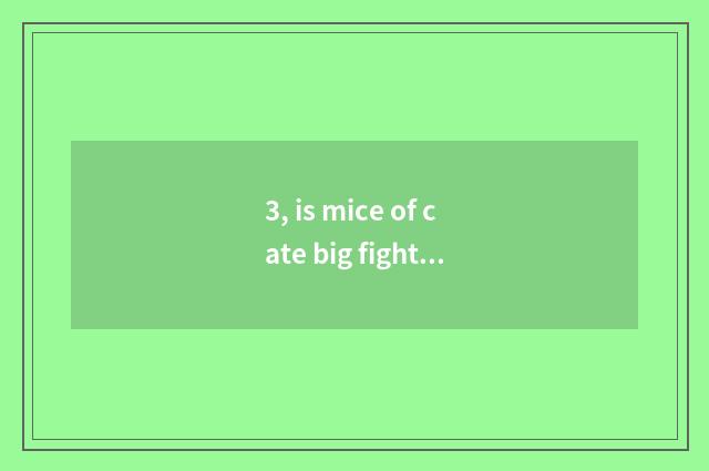 3, is mice of cate big fight made?