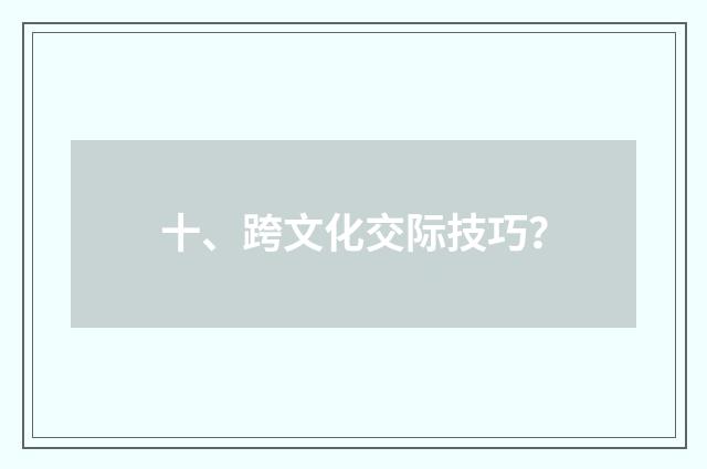 十、跨文化交际技巧？