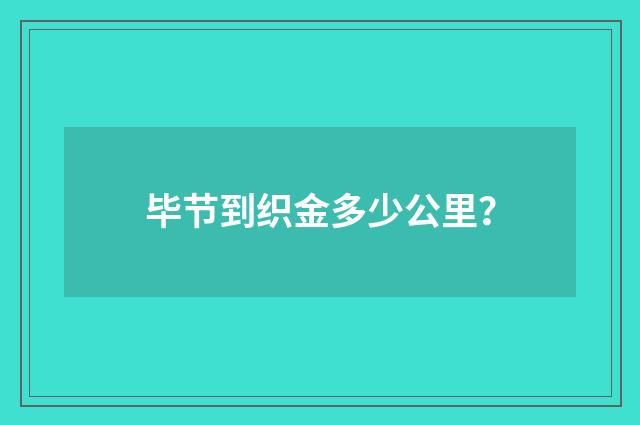 毕节到织金多少公里？