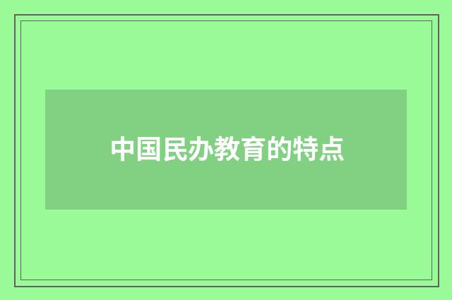 中国民办教育的特点