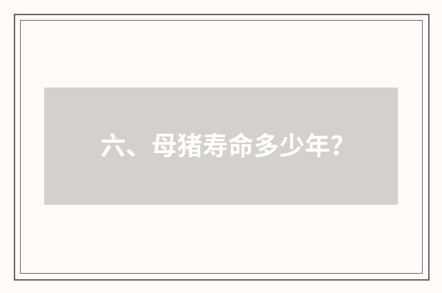 六、母猪寿命多少年？