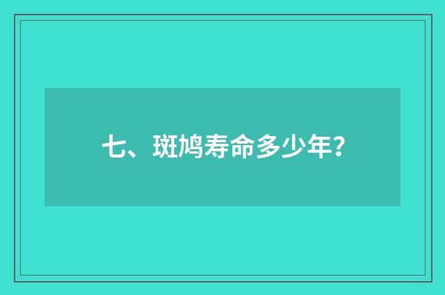 七、斑鸠寿命多少年？