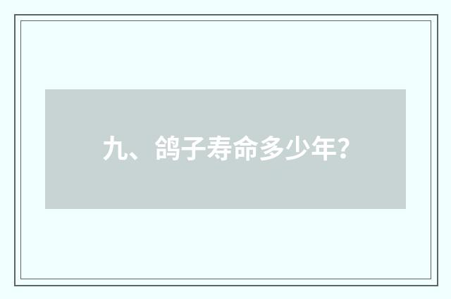 九、鸽子寿命多少年？