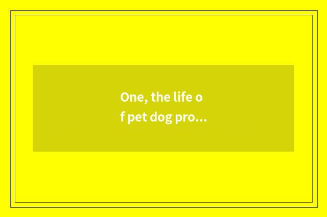 One, the life of pet dog probably how many years?