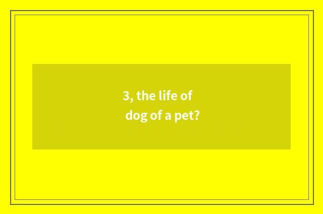 3, the life of dog of a pet?