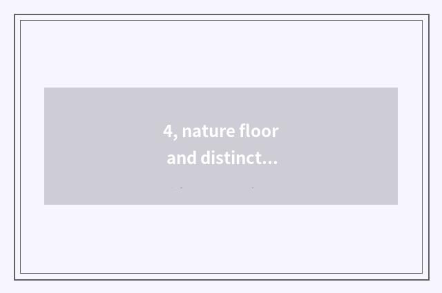 4, nature floor and distinction of entrance nature floor?