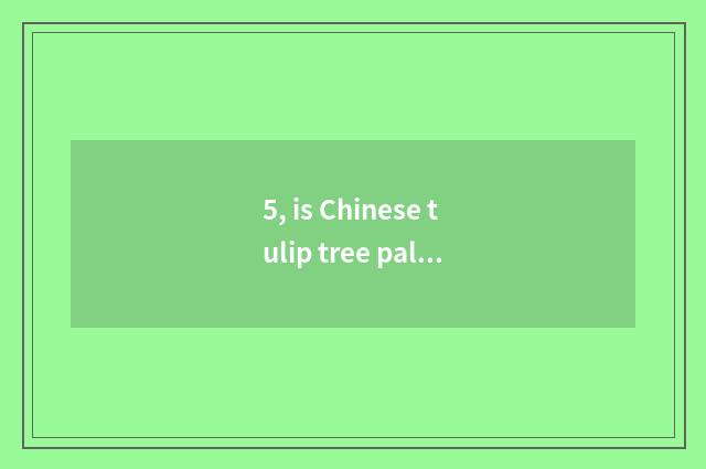 5, is Chinese tulip tree palm shape leaf?