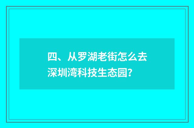 四、从罗湖老街怎么去深圳湾科技生态园？