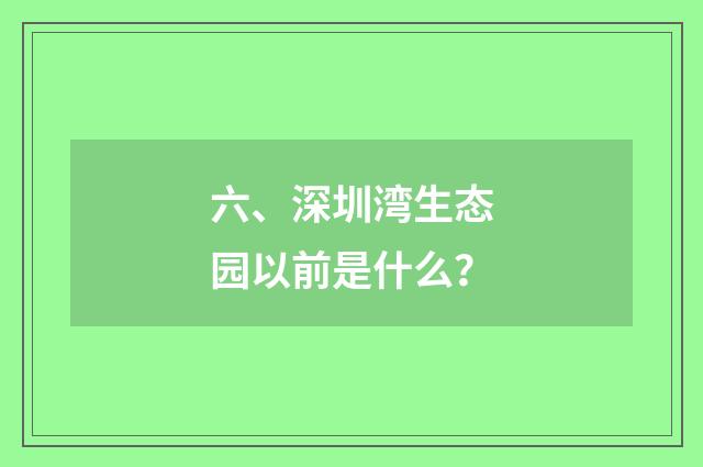 六、深圳湾生态园以前是什么？