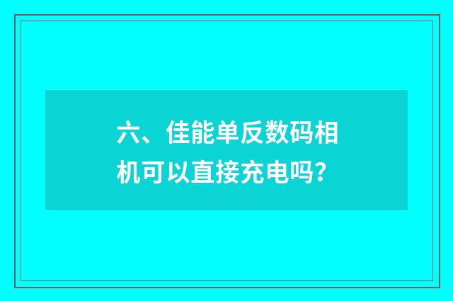 六、佳能单反数码相机可以直接充电吗？