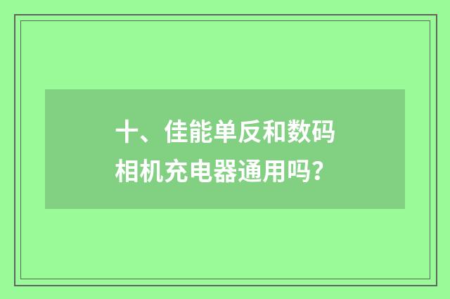 十、佳能单反和数码相机充电器通用吗？
