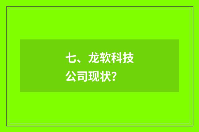 七、龙软科技公司现状？