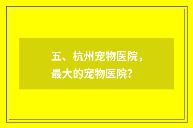 五、杭州宠物医院，最大的宠物医院？