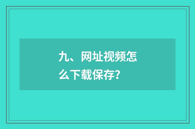 九、网址视频怎么下载保存？
