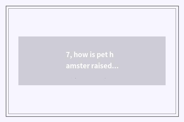 7, how is pet hamster raised?