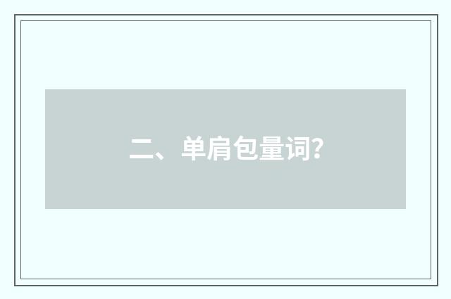 二、单肩包量词？