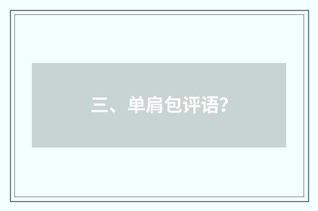 三、单肩包评语？