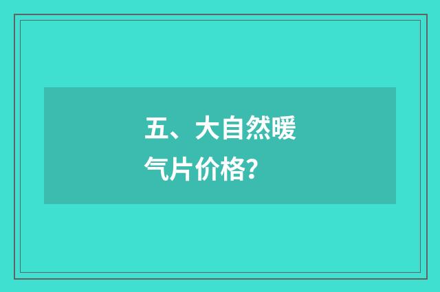 五、大自然暖气片价格？