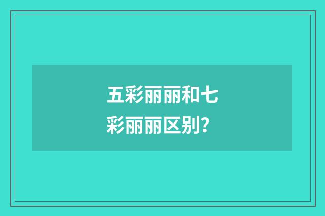 五彩丽丽和七彩丽丽区别？