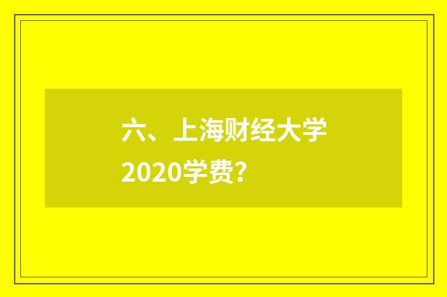 六、上海财经大学2020学费？