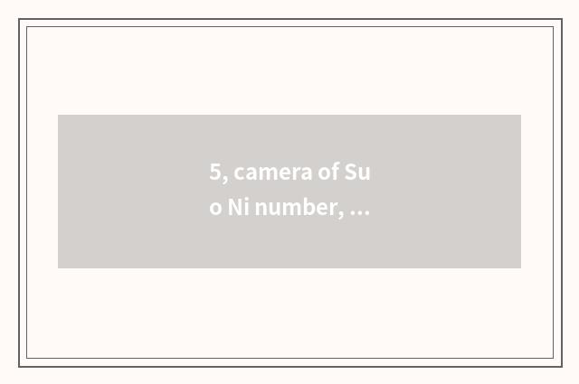 5, camera of Suo Ni number, computer connection?