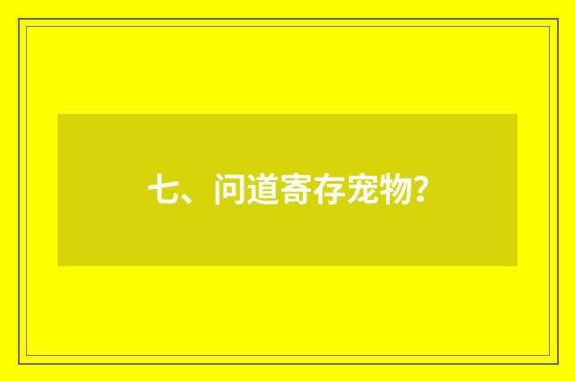 七、问道寄存宠物？