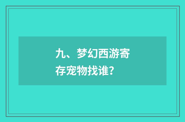 九、梦幻西游寄存宠物找谁？