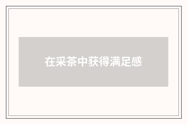 在采茶中获得满足感