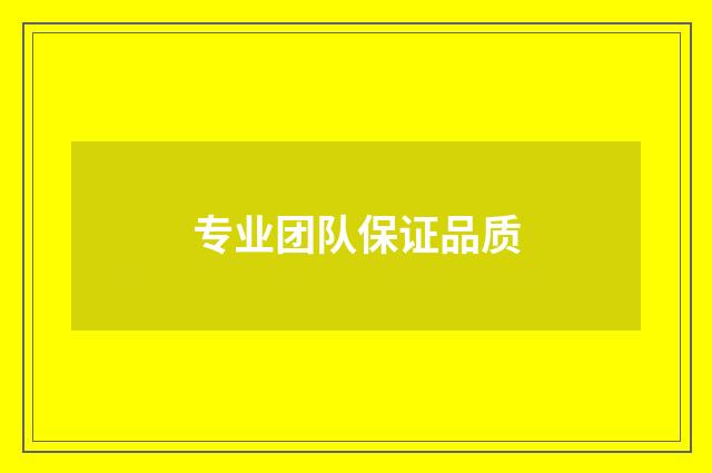 专业团队保证品质