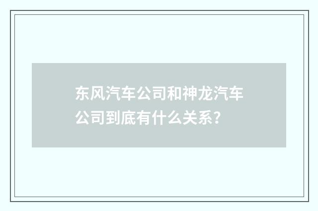 东风汽车公司和神龙汽车公司到底有什么关系？