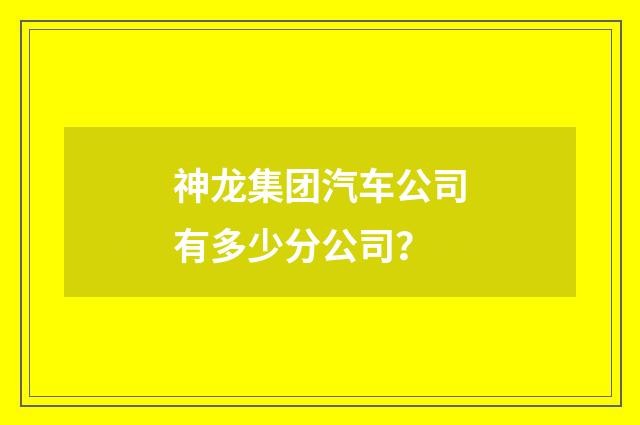 神龙集团汽车公司有多少分公司？