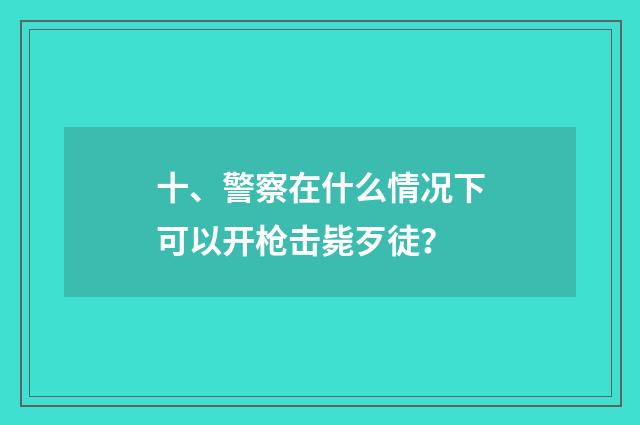 十、警察在什么情况下可以开枪击毙歹徒？