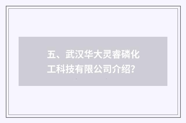 五、武汉华大灵睿磷化工科技有限公司介绍？