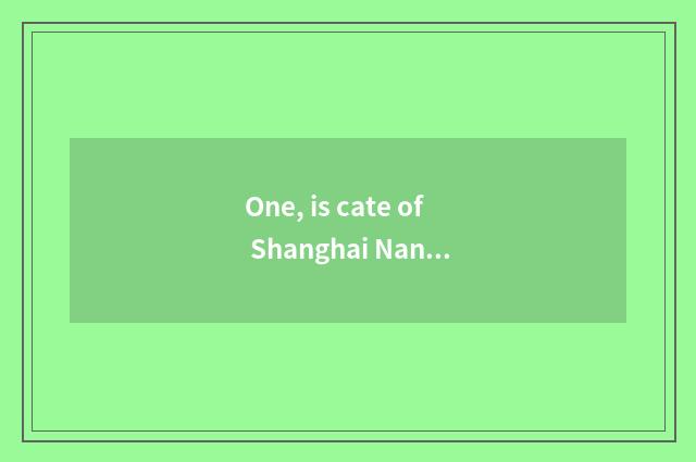 One, is cate of Shanghai Nanjing road recommended?