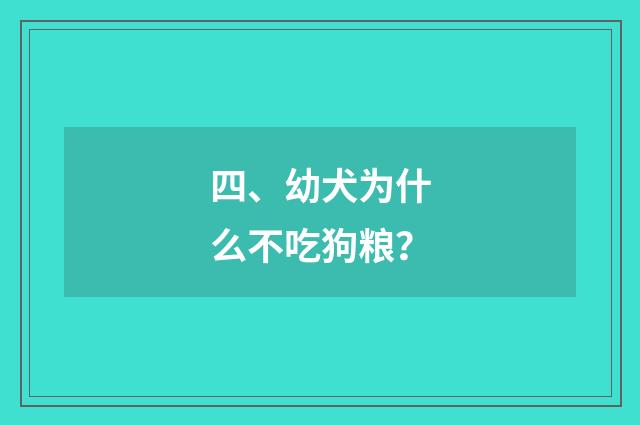 四、幼犬为什么不吃狗粮？