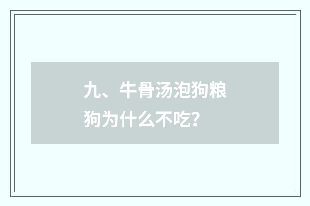 九、牛骨汤泡狗粮狗为什么不吃？