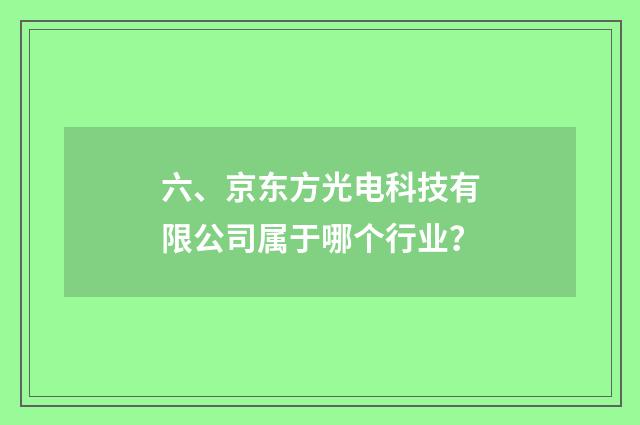 六、京东方光电科技有限公司属于哪个行业？