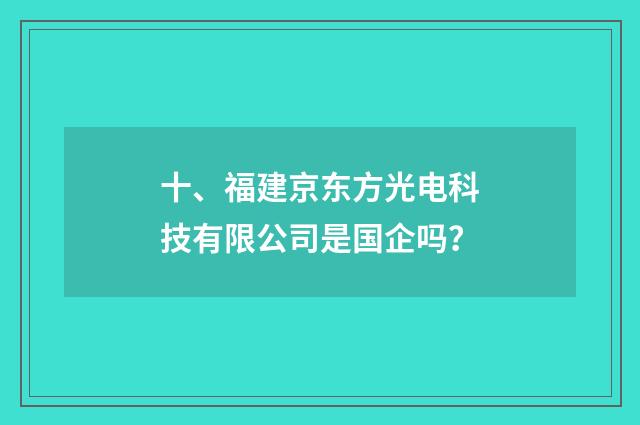 十、福建京东方光电科技有限公司是国企吗？