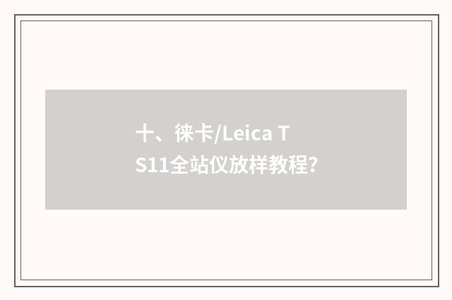 十、徕卡/Leica TS11全站仪放样教程？