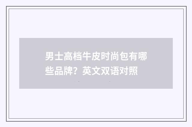 男士高档牛皮时尚包有哪些品牌？英文双语对照