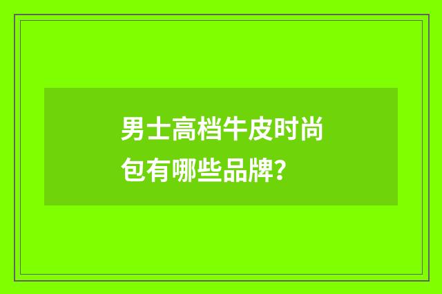 男士高档牛皮时尚包有哪些品牌？